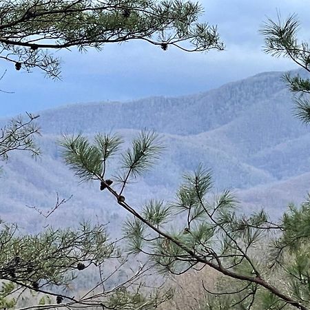 Mountain Love Nest Gatlinburg Exteriér fotografie