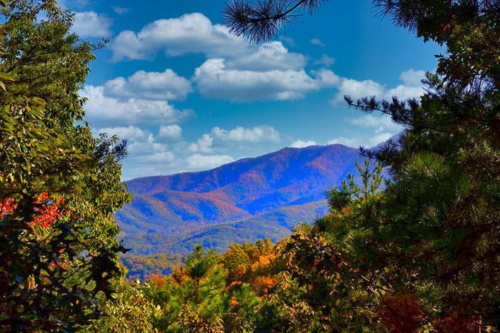 Mountain Love Nest Gatlinburg Exteriér fotografie