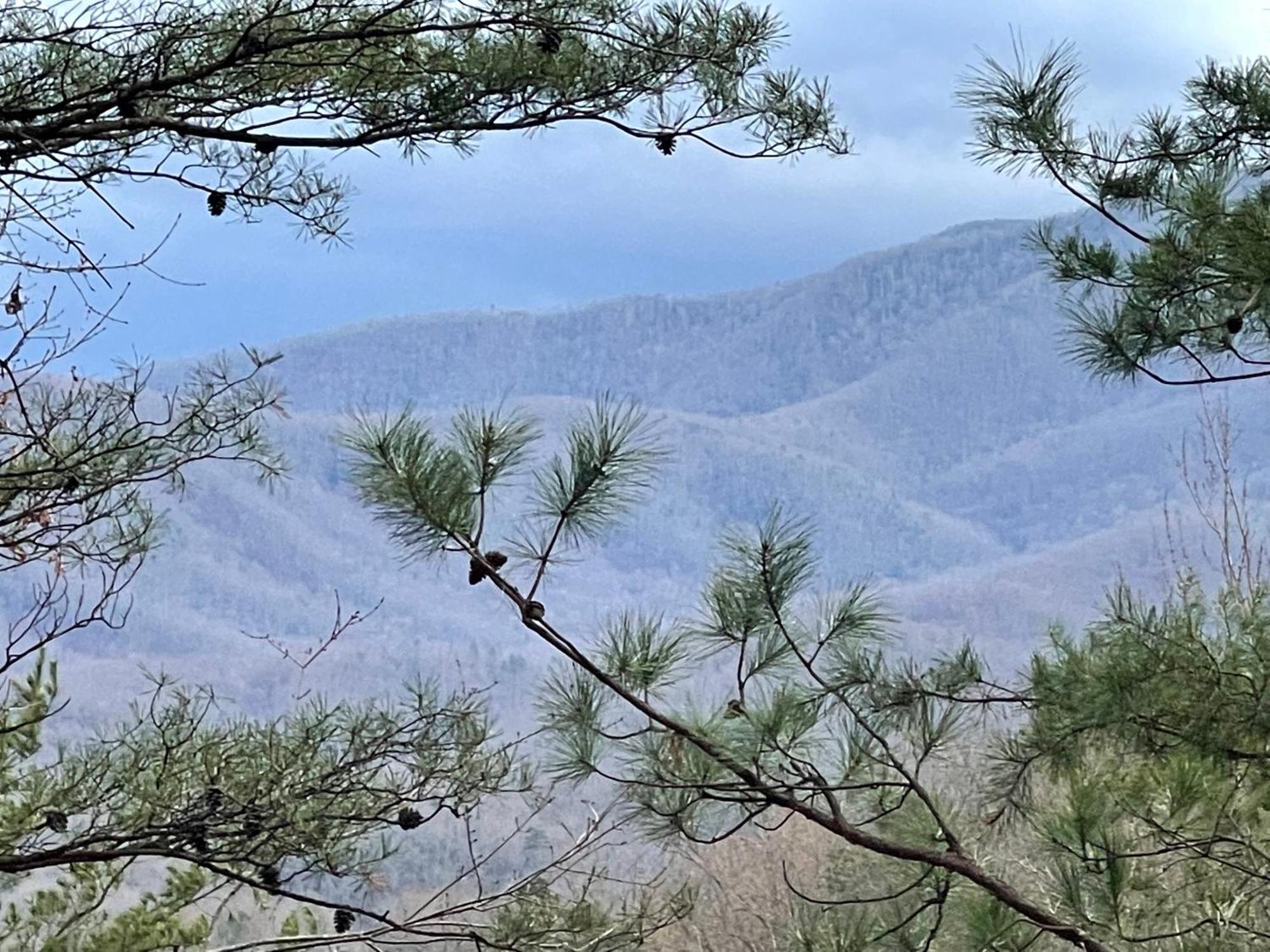 Mountain Love Nest Gatlinburg Exteriér fotografie